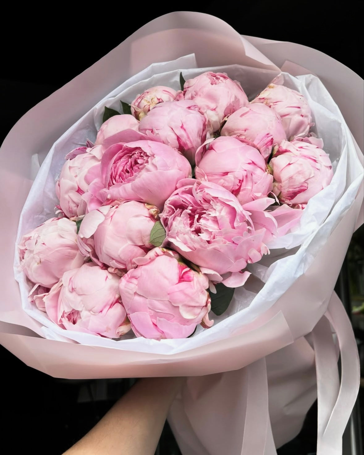 PIVOINE
