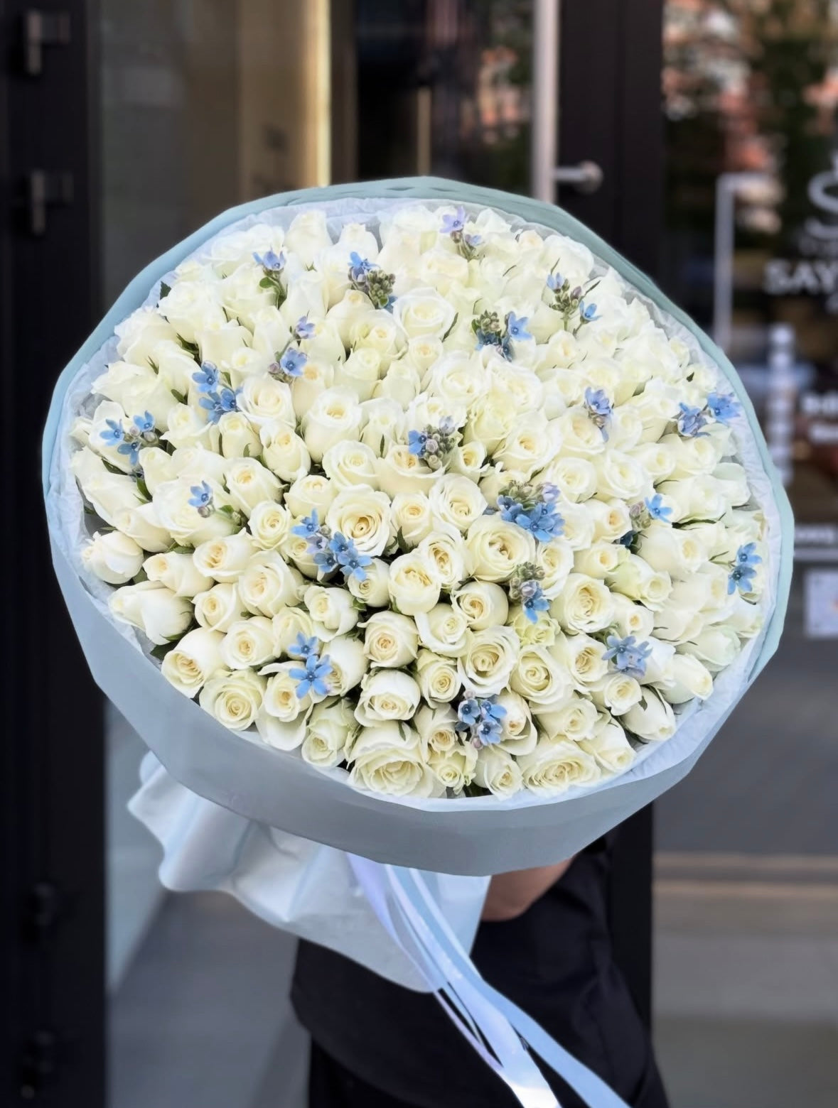 101 CREAM WHITE ROSE