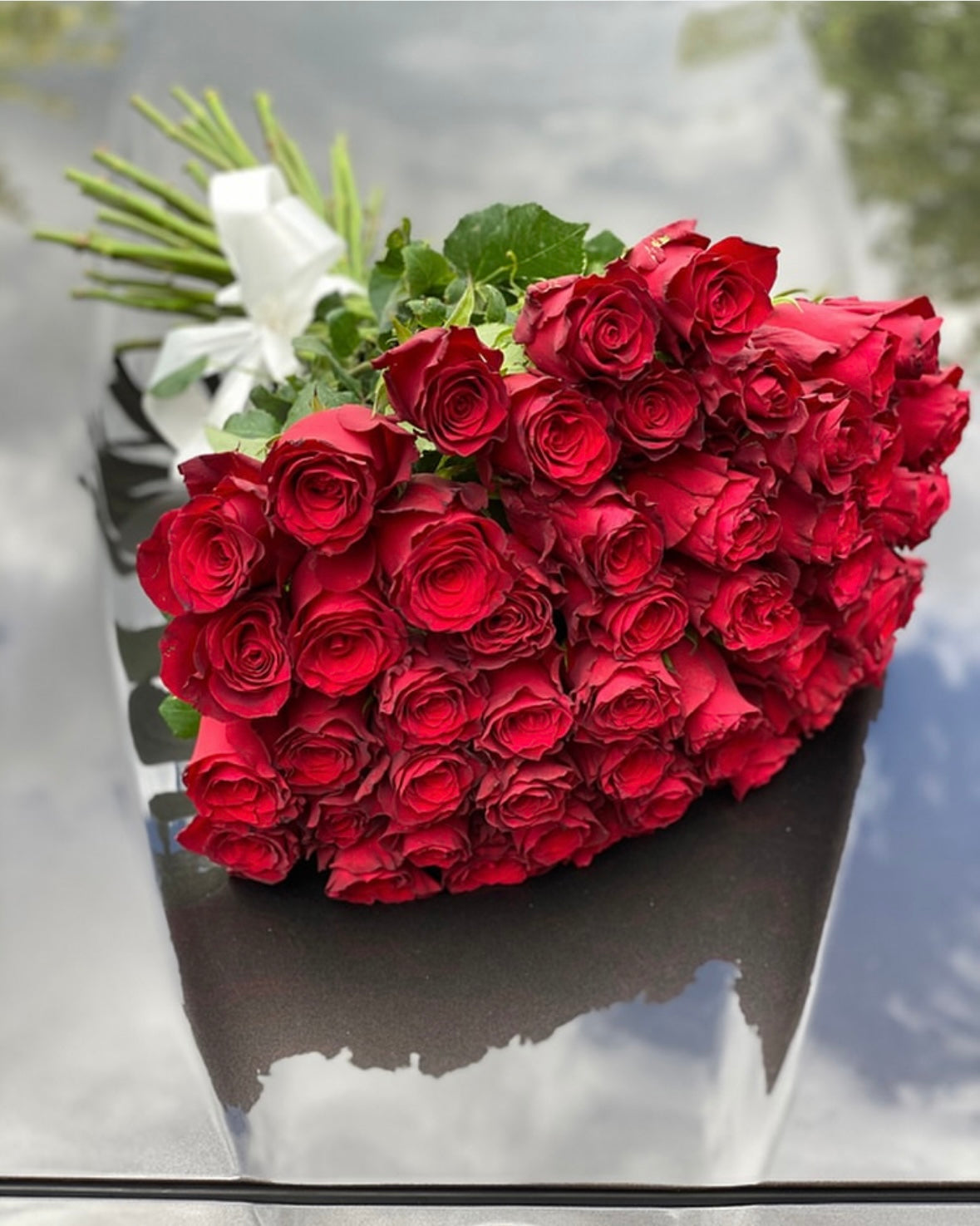 SCARLET PETALS