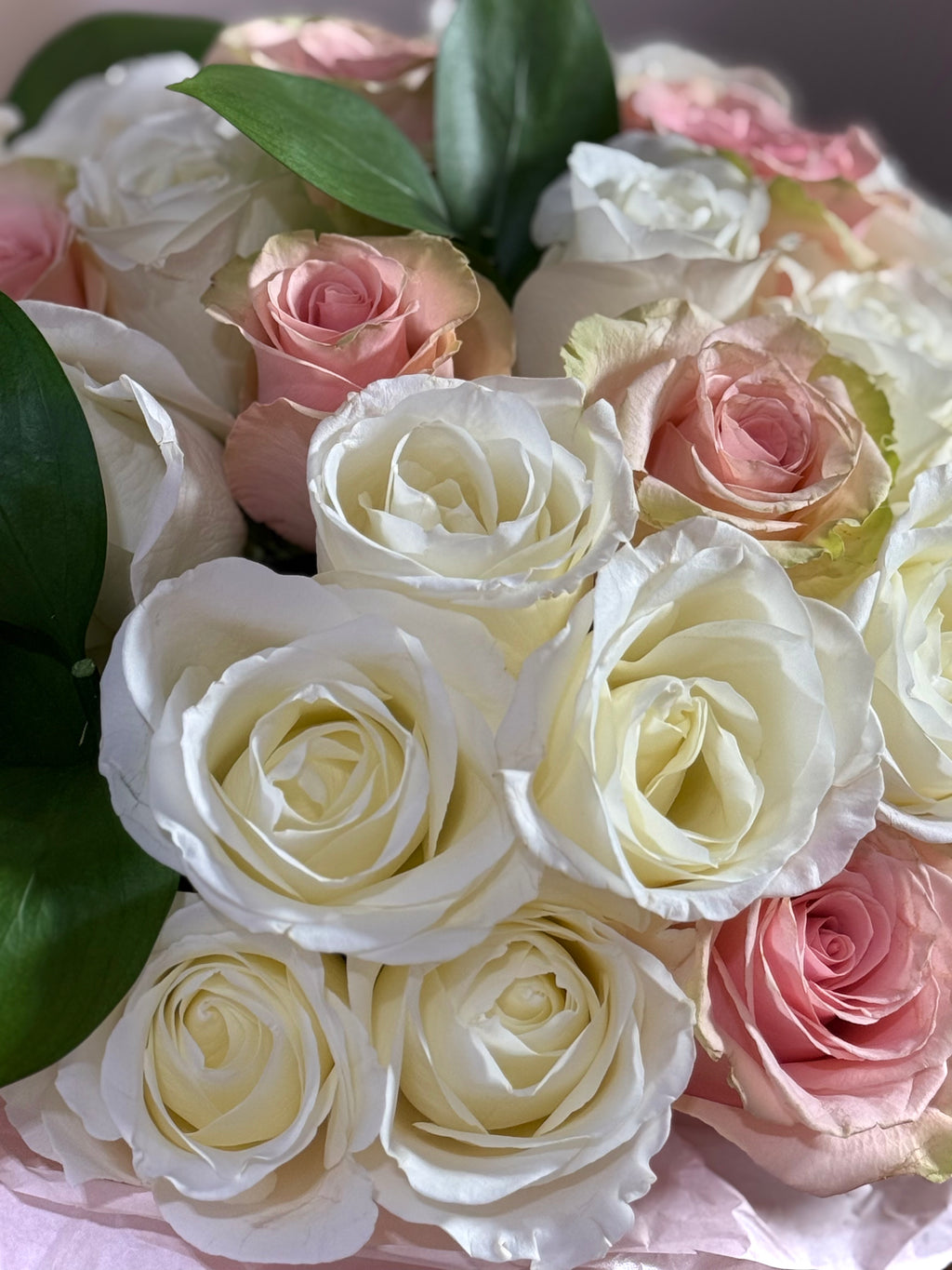 BLUSH GARDEN
