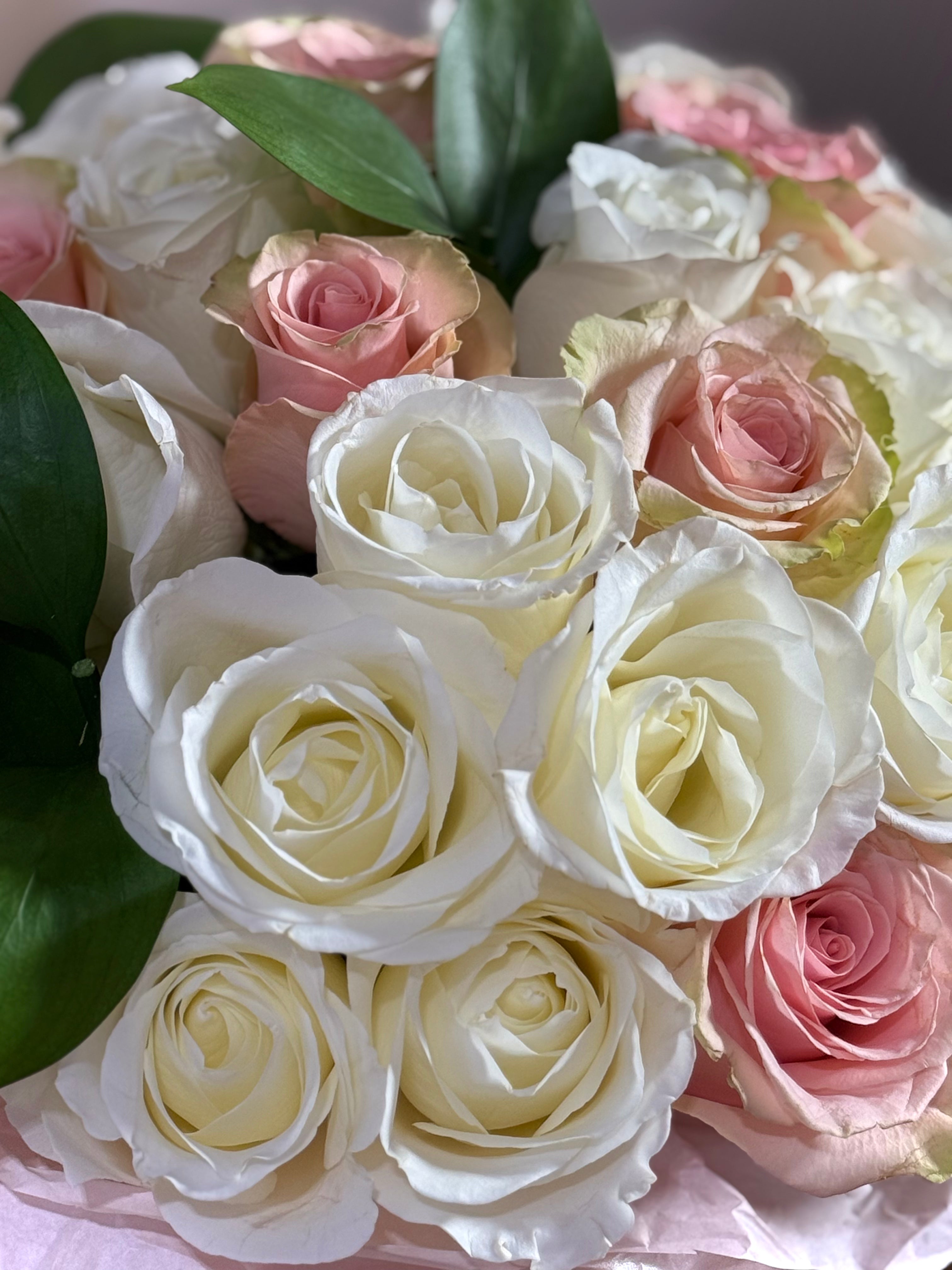 BLUSH GARDEN