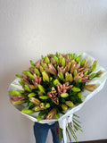 PINK LILIES
