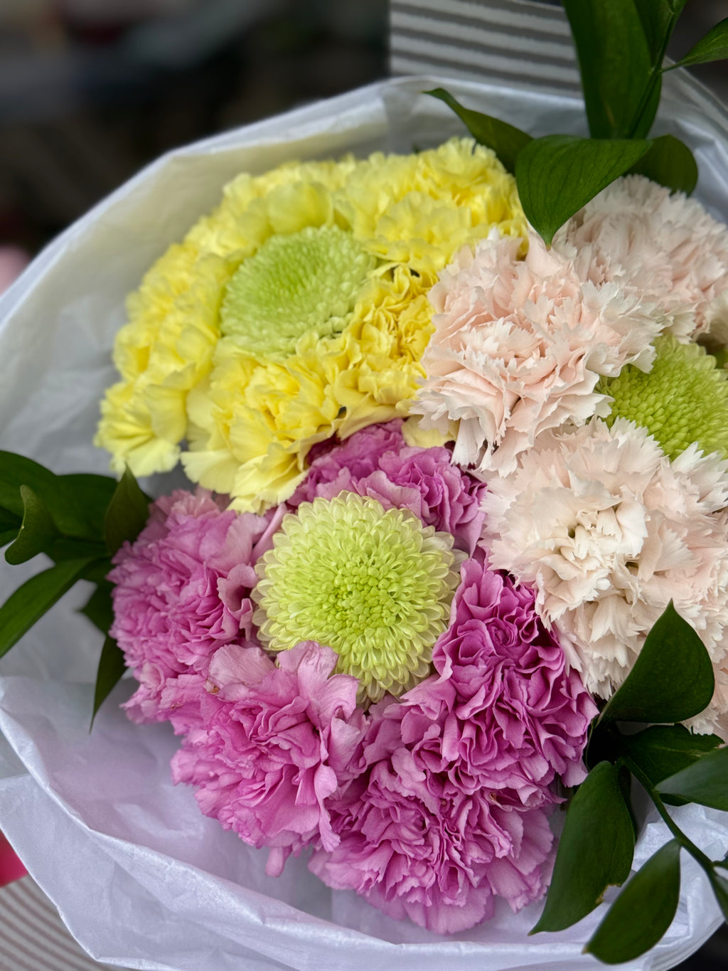 SPRING TOUCH