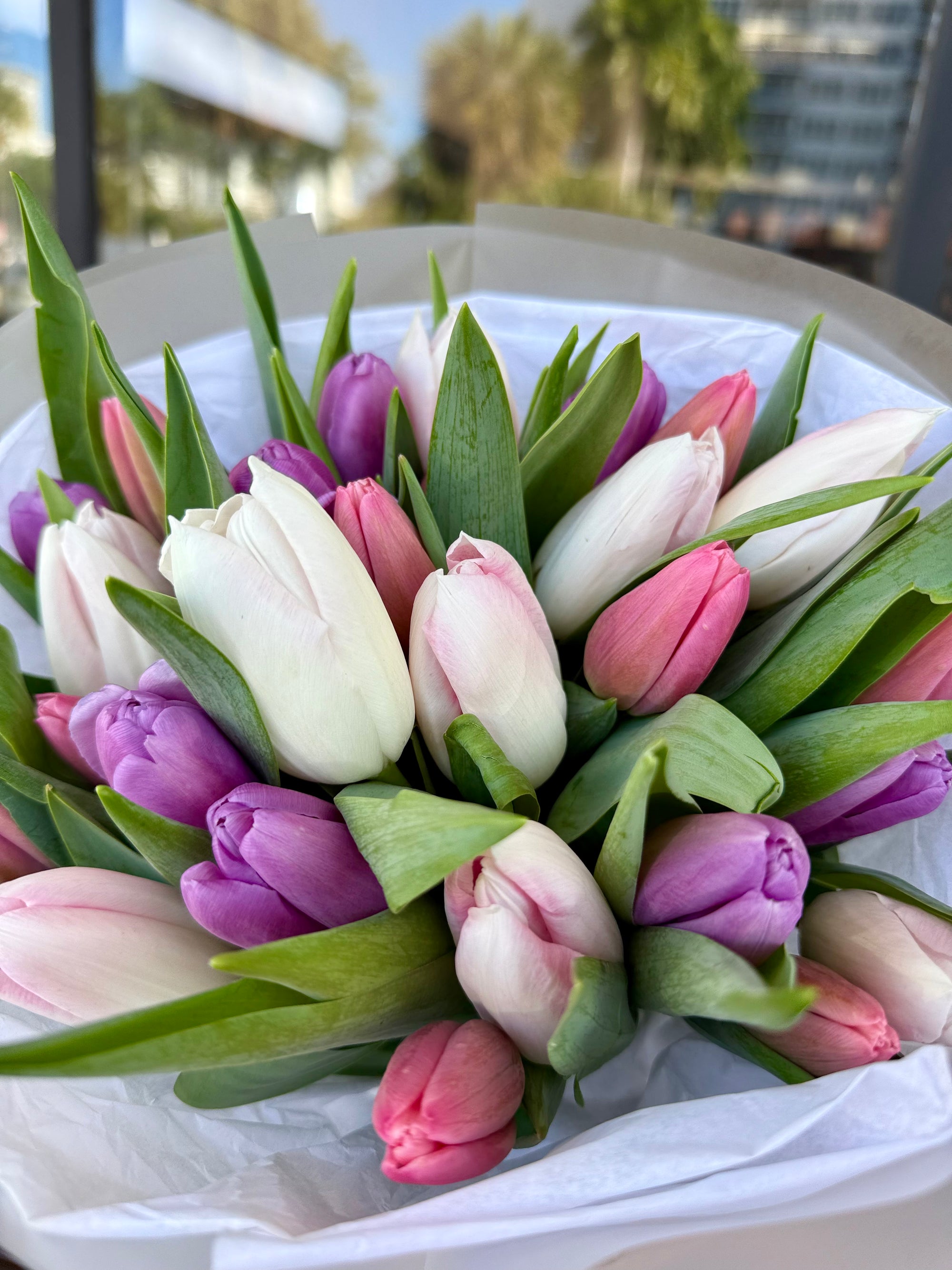 TULIPS