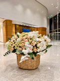 IVORY GARDEN